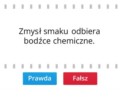 Zmysł węchu ( powonienia), smaku i dotyku