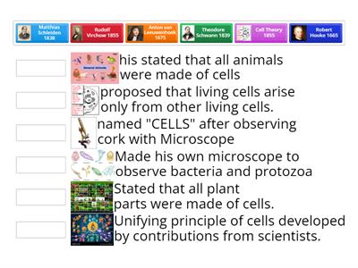 History of Cell Theory (STAAR 6.13 A)