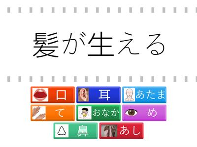 からだのはたらき