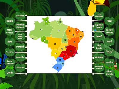 Jogo estados do Brasil