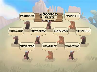 Whack-a-Mole that Online Social Media Platforms