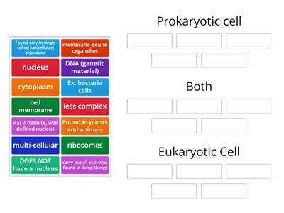 Prokaryotic cells vs Eukaryotic Cells