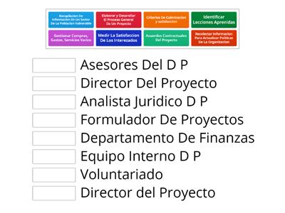 Responsabilidades  y verificaciones Del Diretor De Proyectos ( D P )