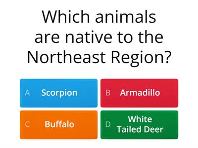 Northeast Region Review