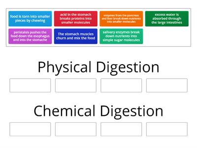  Physical vs Chemical Digestion