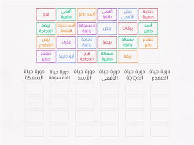 دورات حياة الكائنات الحية