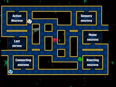 Nervous and Endocrine Review (Pacman)
