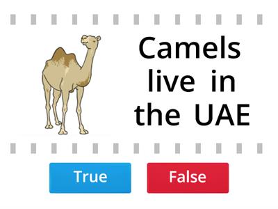 UAE Facts