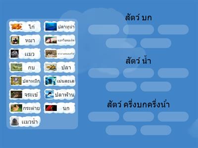 จกจับคู่สัตว์ต่างชนิด 