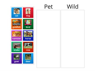 Concept Sort: Pets vs. Wild Animals