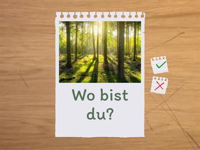 (1) Wo bist du?