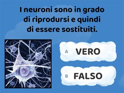 Quiz sul sistema nervoso