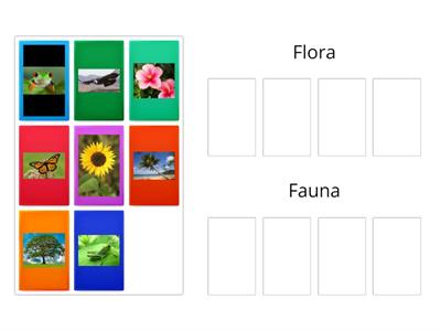 Flora and Fauna 1ro grade