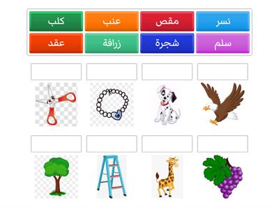 تدريب لغه عربيه كج ٢