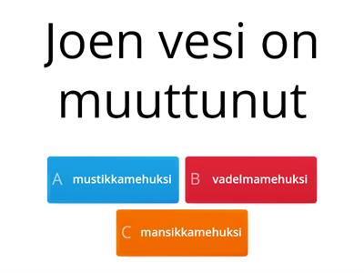 Muumi 6: Timmee já Vimmee