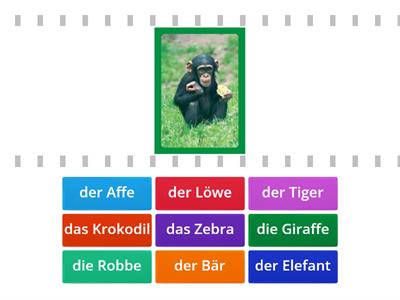 ABC Deutsch 2: Im Zoo