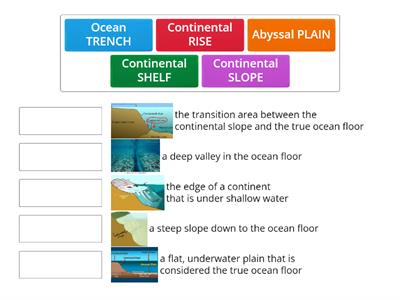 The Ocean Floor