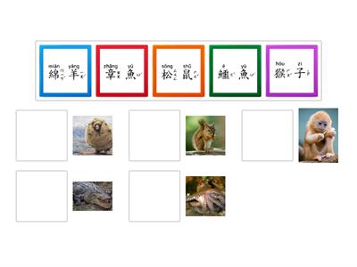 學華語向前走 B1 第十課 動物