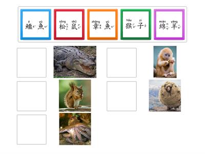 學華語向前走 B1 第十課 動物