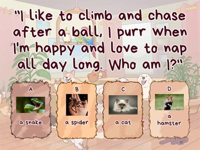 Riddles animals