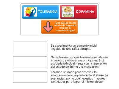 cerebro adicto