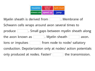 Describe the role of myelin sheath, suggest how the damaged myelin sheath interferes impulse transmission 