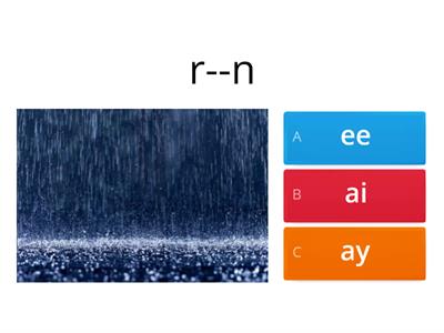 Long Vowels:  Fill in the correct vowel.