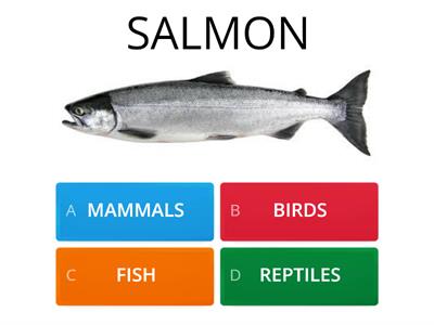 CLIL - Biology (sort mammals, birds, reptiles and fish) - quiz