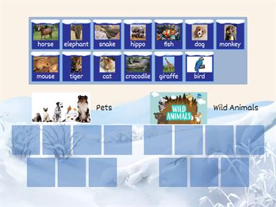 KB 1 Unit 7 Wild animals/Pets sorting