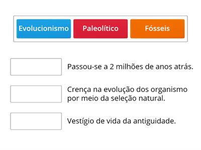 Os primeiros passos da humanidade