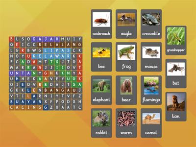 vocabulary (animals and insect)  BM-BI