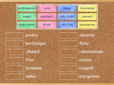 (112) Magyar nyelv: Mi az ellentéte (antónimo)? (Téma: az emberek)