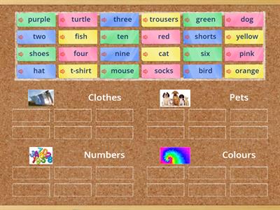 Sets of clothes, pets, numbers and colours