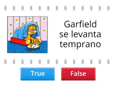 Garfield RUTINA DIARIA