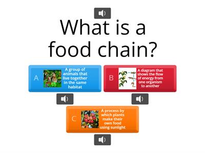 Exploring Food Webs and Food Chains