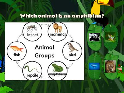 K-Grade 2  Animal Classification 