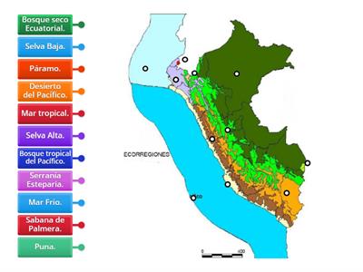 Las Once Ecorregiones del Perú 