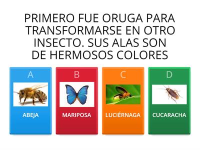 CUESTIONARIO SOBRE LOS INSECTOS