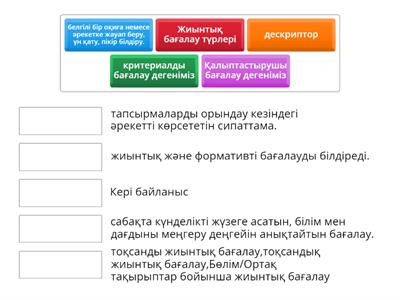 информатика