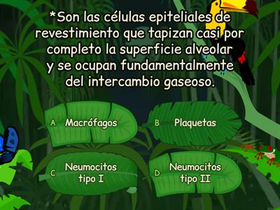 TAREA 13-SISTEMA RESPIRATORIO