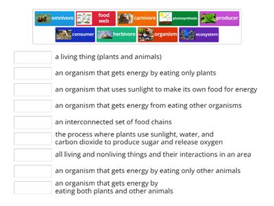  Producers, Consumers, Food Webs