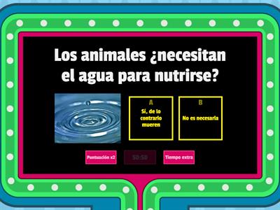 Nutrición Autótrofa y Heterótrofa