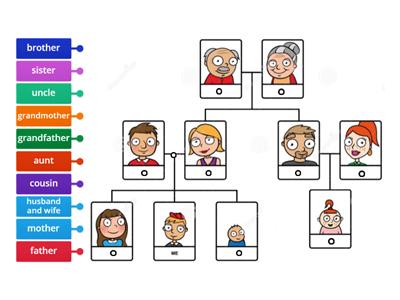  Family tree