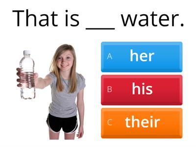 Pronouns - Her, His, Their