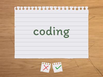 Beginning Coding Terminology