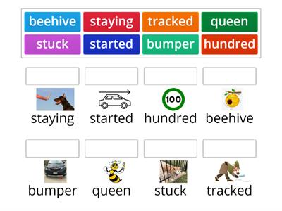 Word Practice "Bees Stick Together"