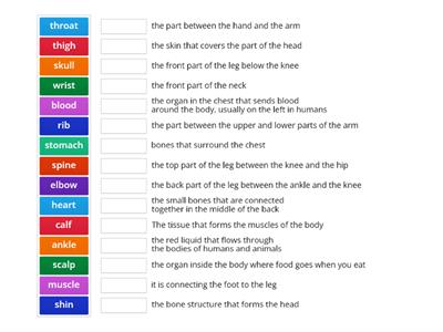 Solutions Intermediate Parts of the body   part 1 no pictures