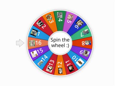 Clinical Coach wheel of Fortune