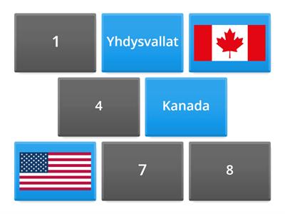 8 kortin muistipeli: lippu + maan nimi (Maailma)