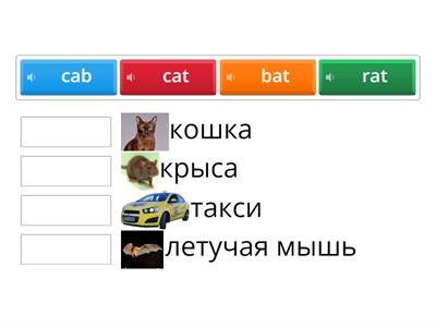 rat bat cat cab (matching)